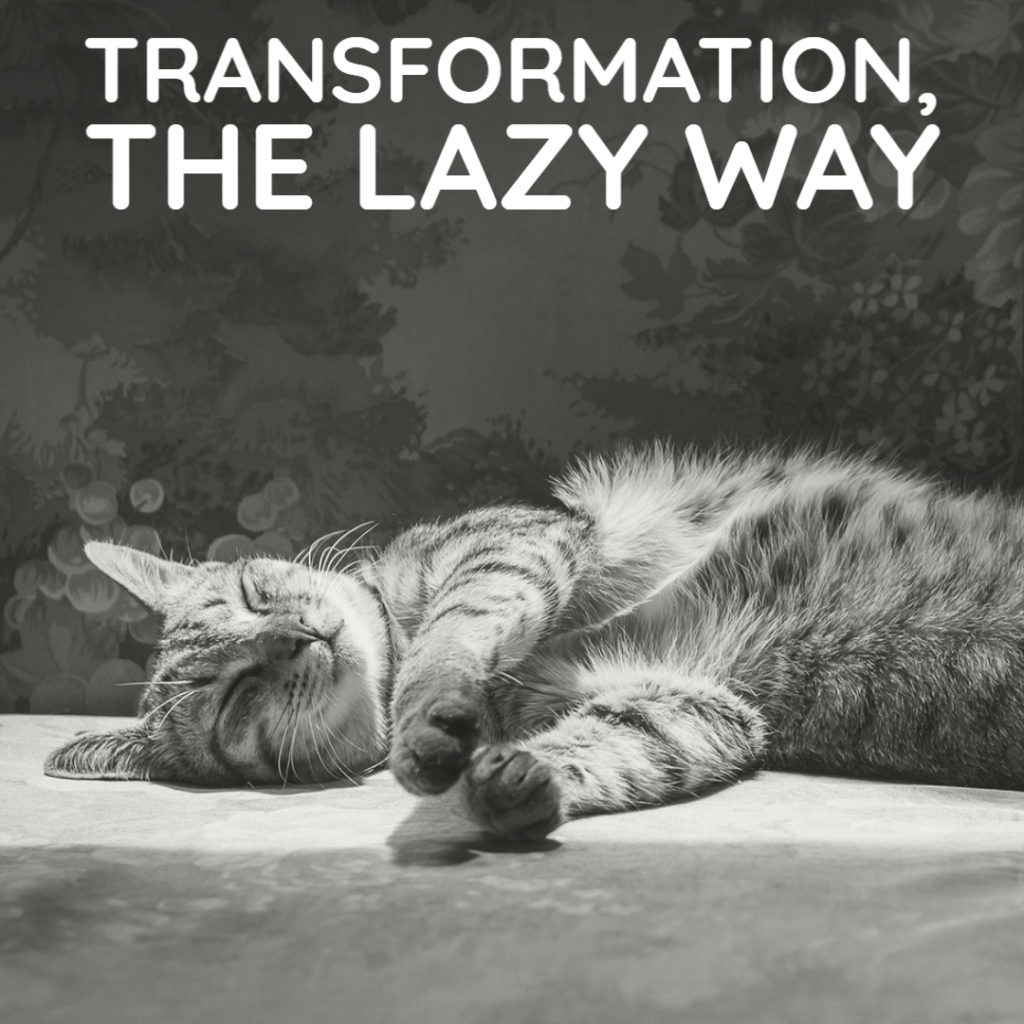 Image: Snoozing cat Text: “Transformation, the lazy way”