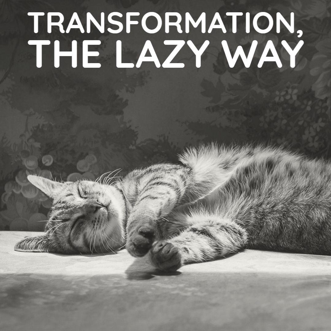 Transformation, the lazy way